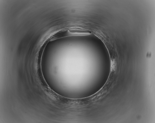 X0000094420291200711151326