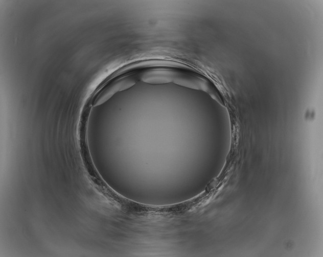 X0000094420292200711151326