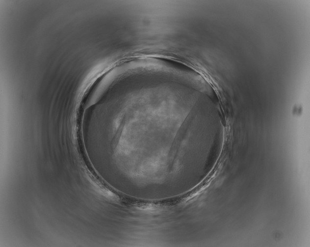 X0000094420293200711151326