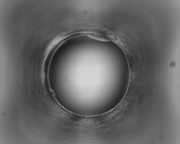 X0000094420294200711151326