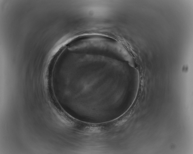 X0000094420295200711151326
