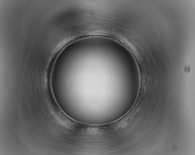 X0000094420298200711151326
