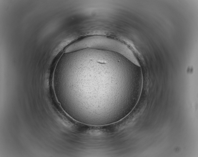 X0000094420299200711151326