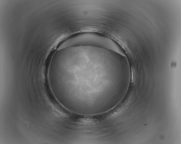 X0000094420300200711151326