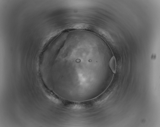 X0000094420303200711151326