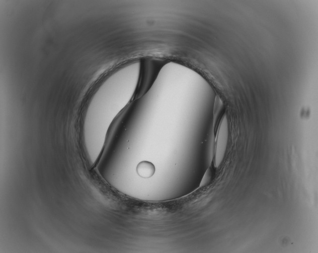 X0000094420304200711151326