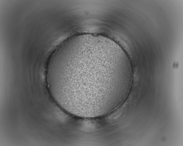 X0000094420305200711151326