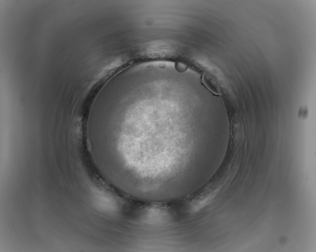 X0000094420308200711151326