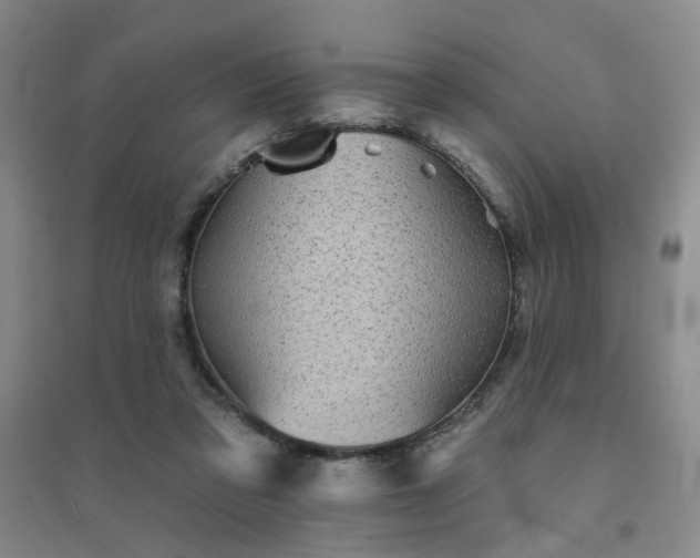 X0000094420309200711151326