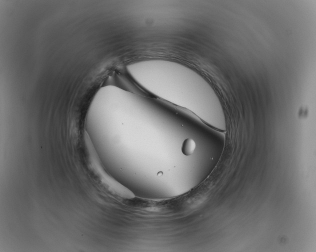 X0000094420312200711151326