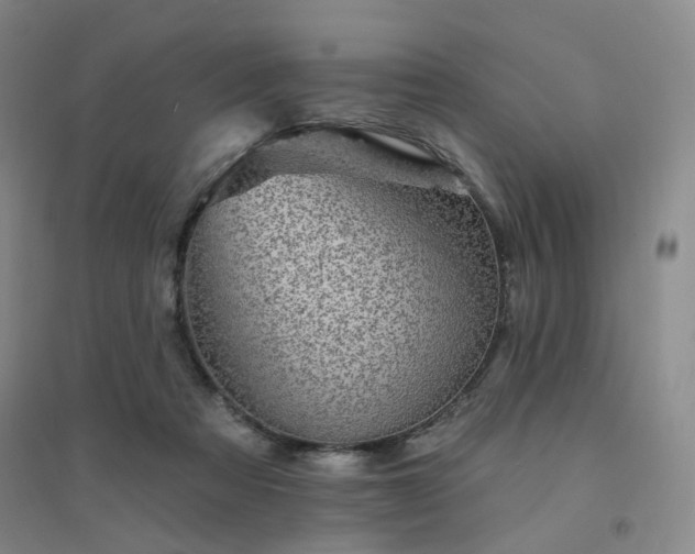 X0000094420313200711151326