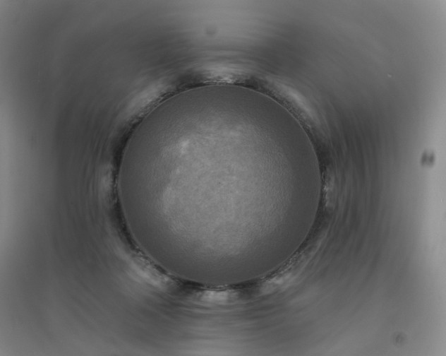 X0000094420314200711151326