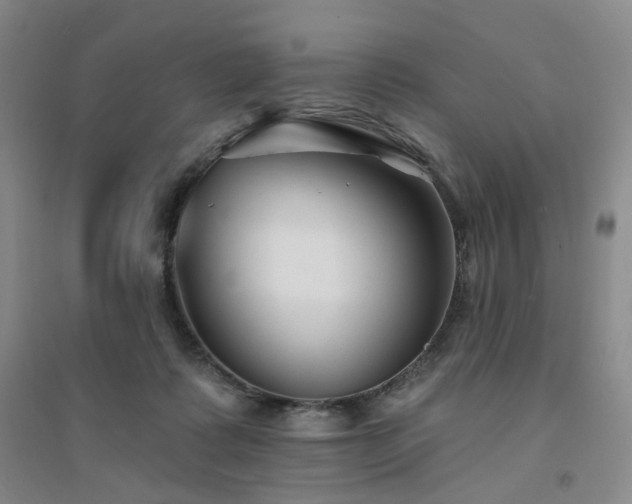 X0000094420315200711151326