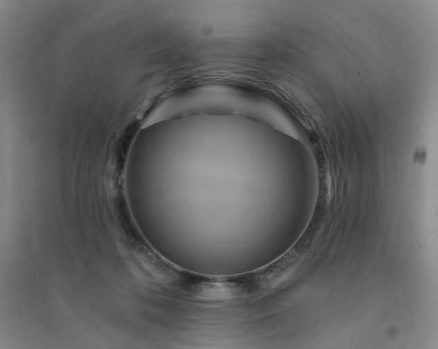 X0000094420316200711151326