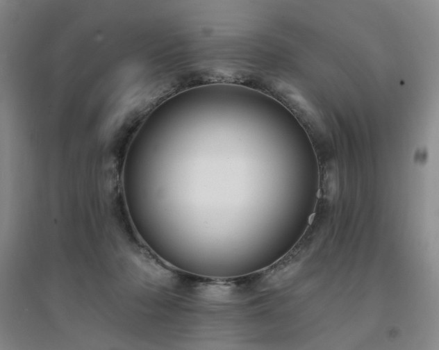 X0000094420318200711151326
