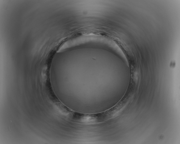X0000094420319200711151326