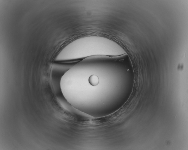 X0000094420320200711151326