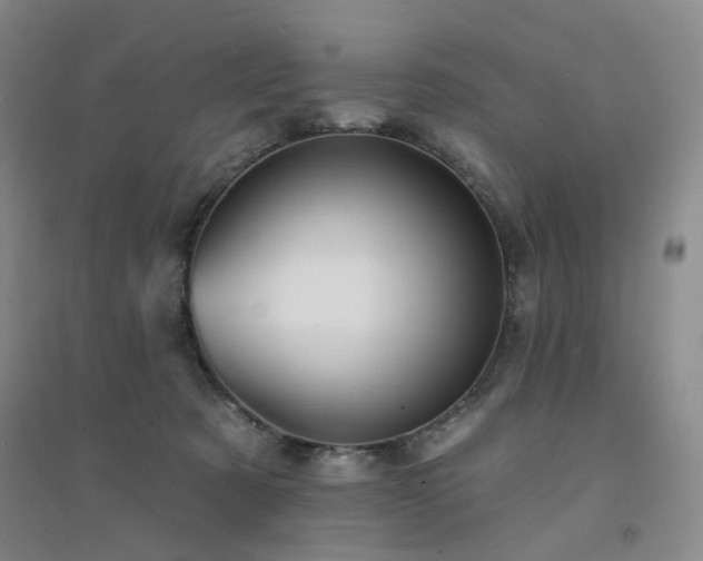 X0000094420321200711151326