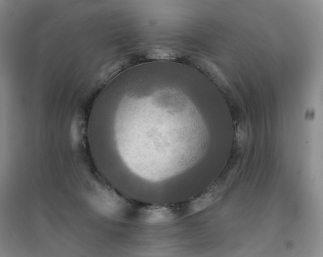 X0000094420322200711151326
