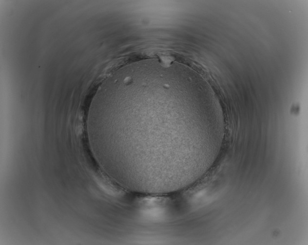 X0000094420323200711151326