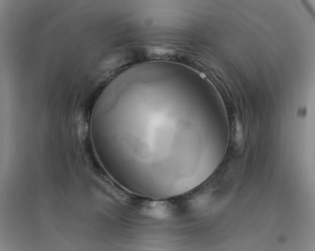 X0000094420324200711151326