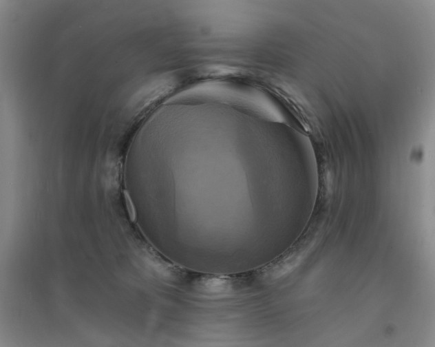 X0000094420325200711151326