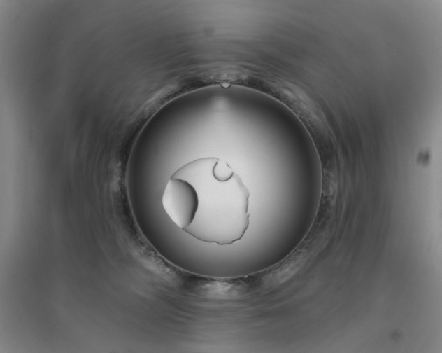 X0000094420326200711151326