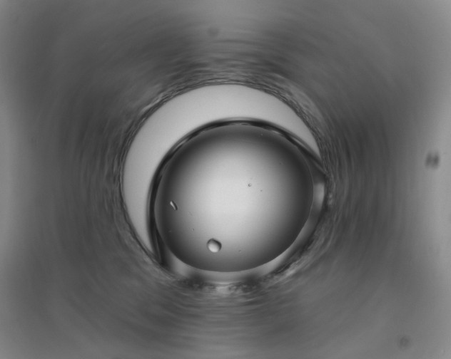 X0000094420329200711151326