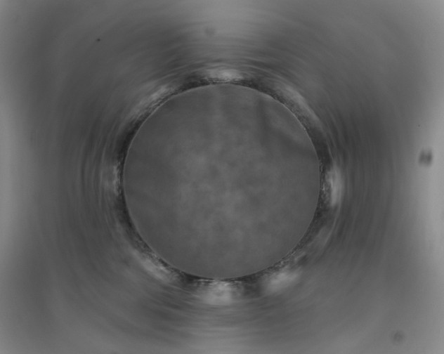 X0000094420330200711151326
