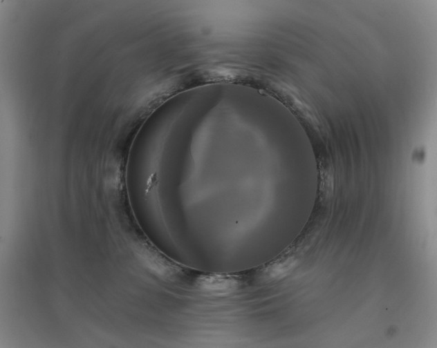 X0000094420331200711151326