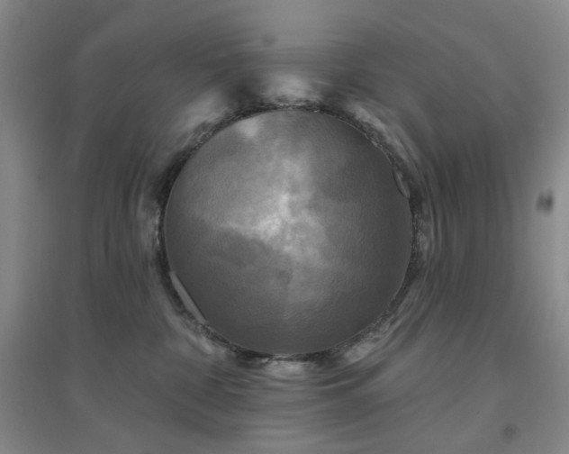 X0000094420332200711151326