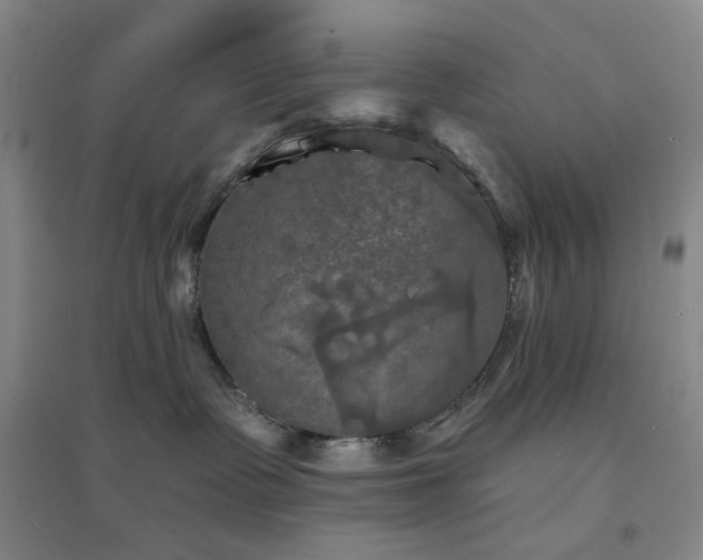 X0000094420335200711151326