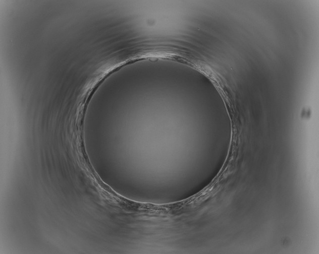 X0000094420337200711151325