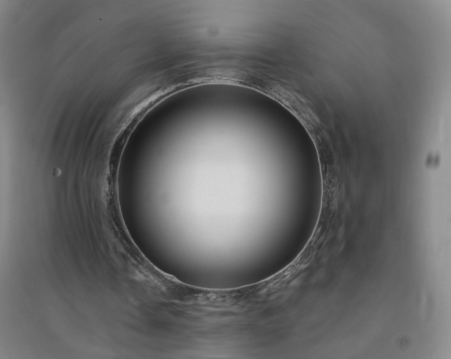 X0000094420338200711151325