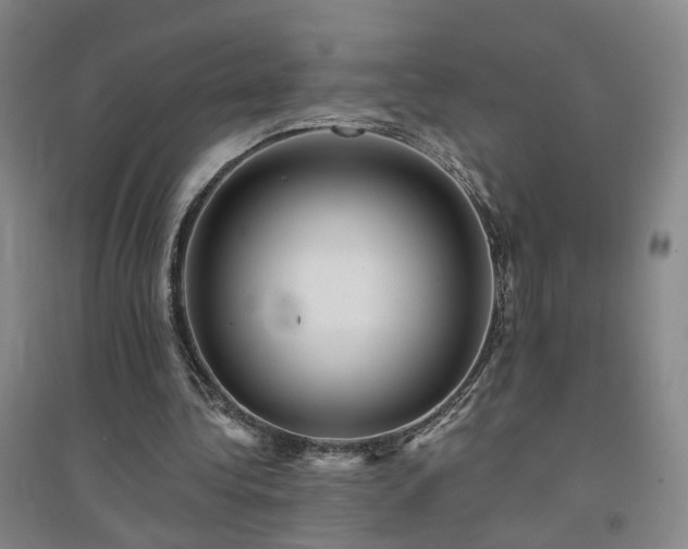 X0000094420340200711151325