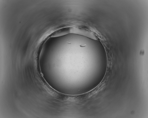 X0000094420341200711151325