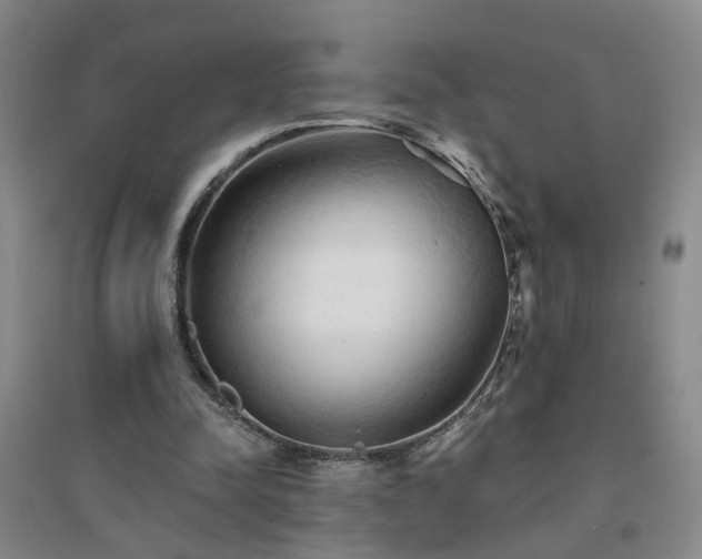 X0000094420342200711151325