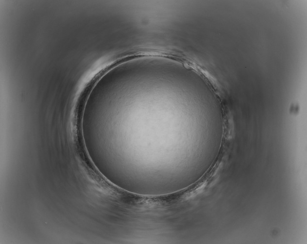 X0000094420343200711151325