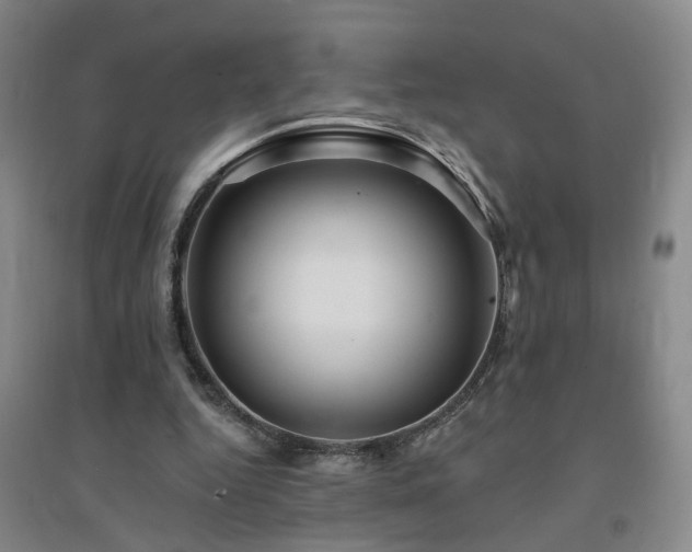X0000094420344200711151325