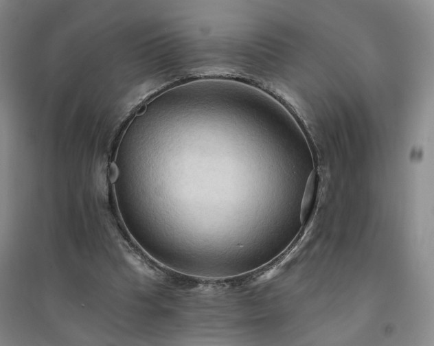 X0000094420345200711151325