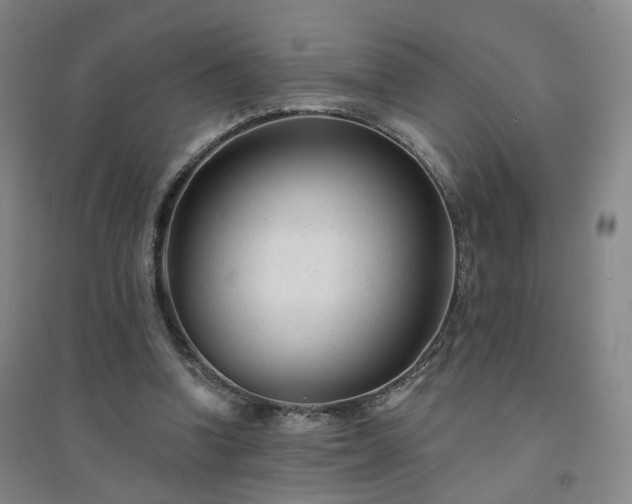X0000094420346200711151325