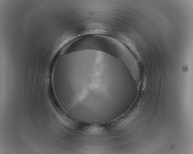 X0000094420348200711151325