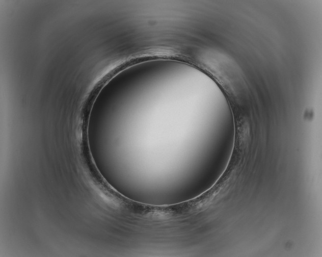 X0000094420350200711151325