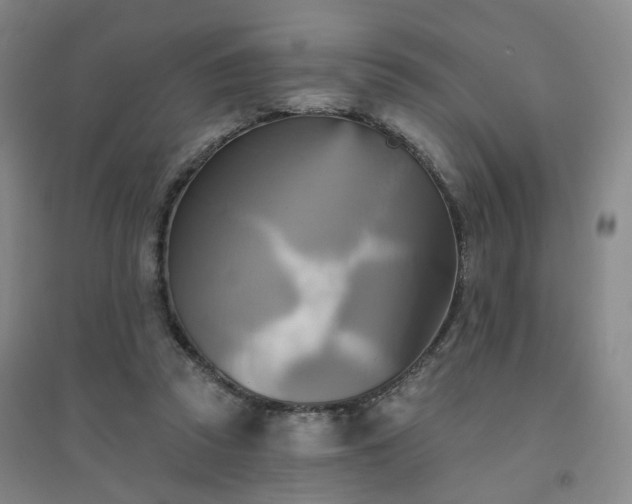 X0000094420353200711151325