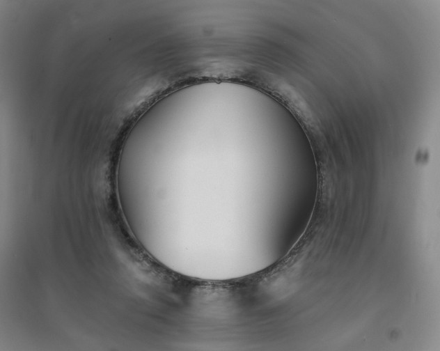 X0000094420354200711151325