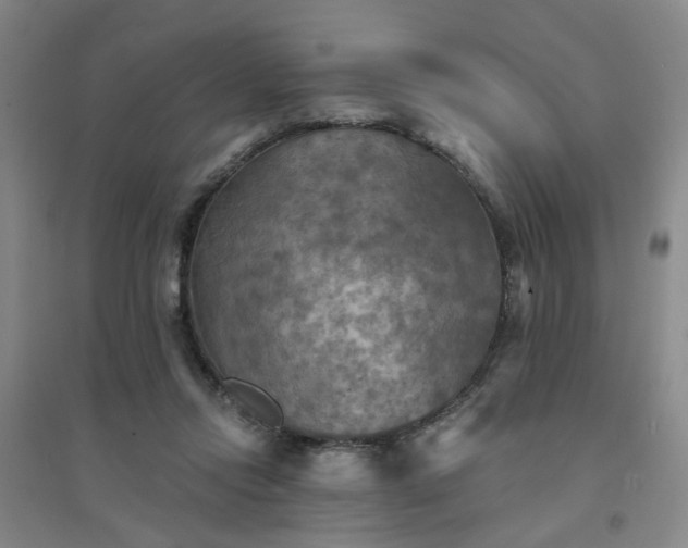 X0000094420358200711151325