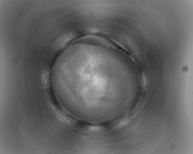 X0000094420360200711151325