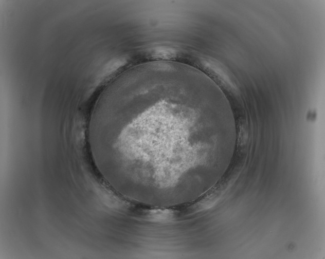 X0000094420363200711151325