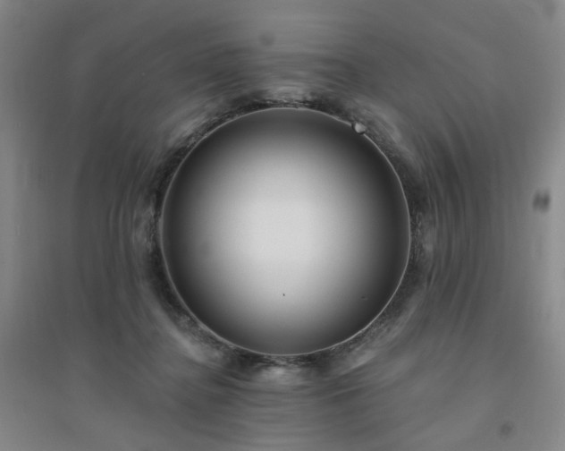 X0000094420364200711151325