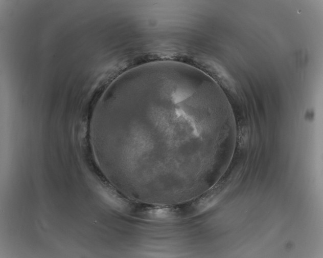 X0000094420365200711151325
